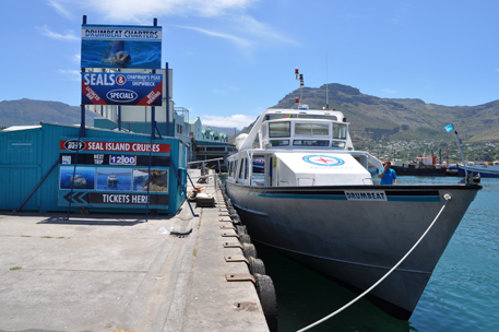 hout bay boat tours